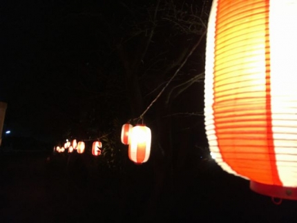 桜祭りの提灯