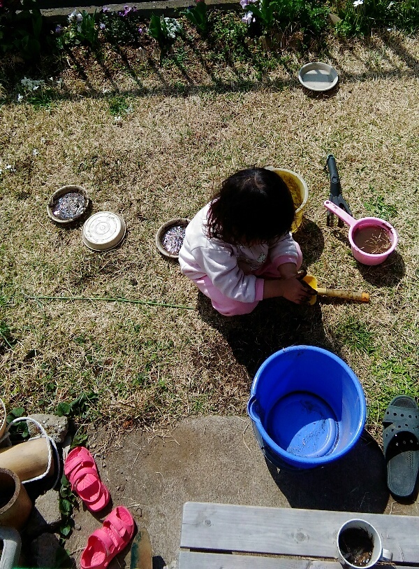 庭で泥んこ遊びが日課