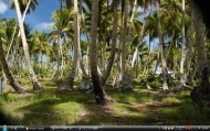 4_Kiribati13s.jpg