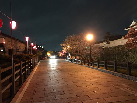 岸和田城のライトアップされた桜　2017年4月11日