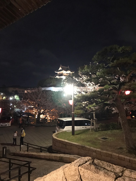 岸和田城のライトアップされた桜　2017年4月11日