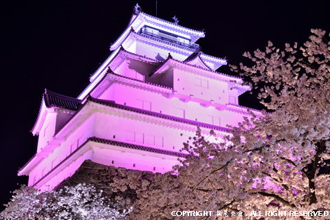 鶴ヶ城の夜桜 #3