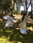 京都ツアー（29年4月）初日、加茂神社、コラボ舞