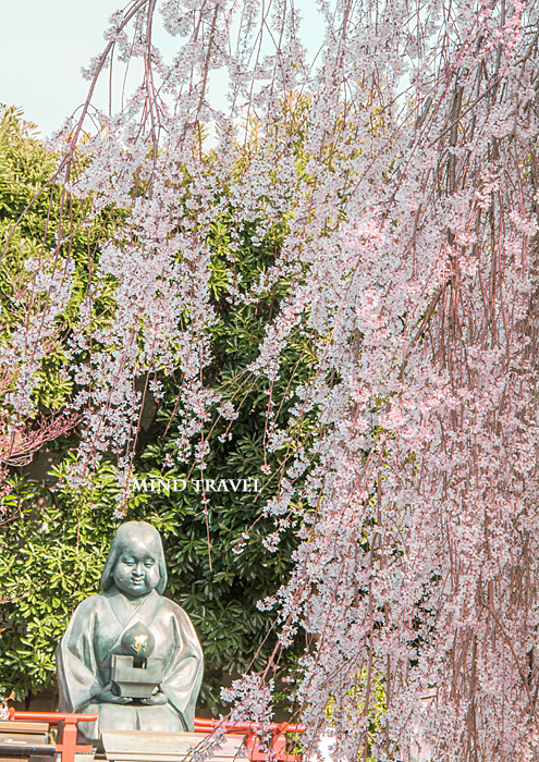 千本釈迦堂　おかめ桜とおかめ像