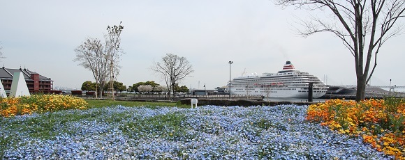「フラワーフェスタ横浜２０１７」の花と飛鳥Ⅱ