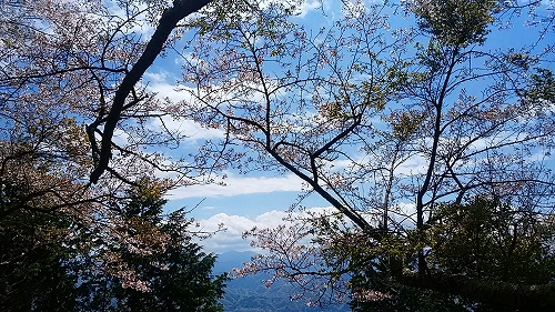 生藤山6