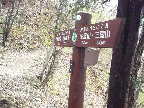 生藤山4