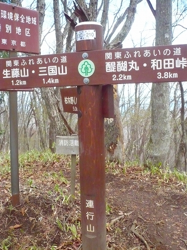 生藤山2