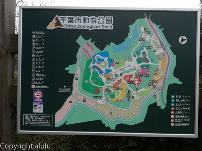 千葉市動物公園　園内マップ
